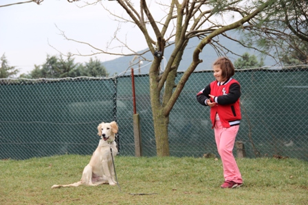 Zeytinburnu Köpek Eğitim Çiftliği istanbul